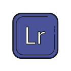 Adobe の Lightroom icon