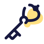 Heart Key icon