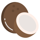 Noce di cocco icon