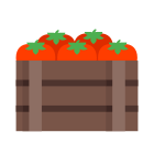 ящик с помидорами icon