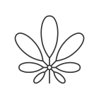 Schefflera icon