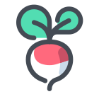 Radish icon