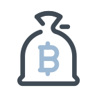 Bolsa de dinero Bitcoin icon