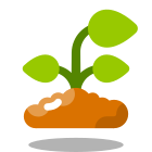 Sprout icon