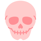 Cranio icon