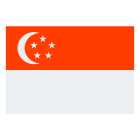 新加坡 icon