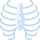 Ribs icon