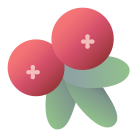 Cranberry icon