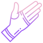 Gloves icon