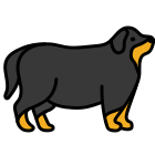 cane grasso icon