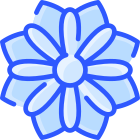 Dahlia icon