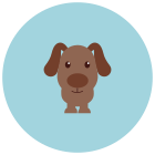 Perro icon