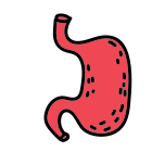 Stomaco icon