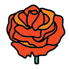 Rosa icon