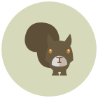 Squirrel icon