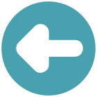 Arrow Pointing Left icon