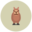 Llama icon