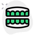 Artificial teeth set also known as denture isolated on a white background icon