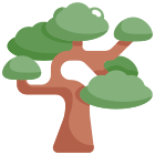 Bonsai icon