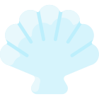 Coquille icon