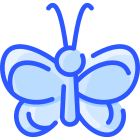Schmetterling icon