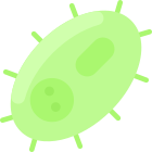 Bacteria icon