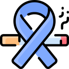 Ribbon icon