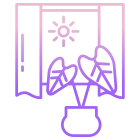 Indoor Plant And Sunlight icon