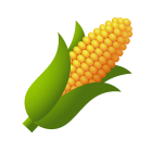 espiga de milho icon