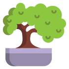 Bonsai icon