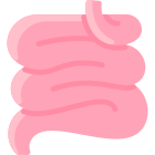 Small Intestine icon