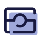 Biometric Passport icon