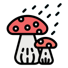 Mushrooms icon