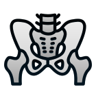 Pelvis icon