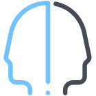 Bipolar Disorder icon