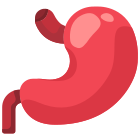 Stomach icon