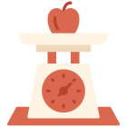 Weight Scale icon