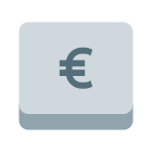 chiave dell'euro icon