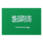 Saudi Arabia icon