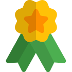 Flower star emblem with double ribbon layout icon