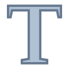 Type icon