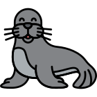 Foca icon