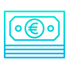 Euro icon