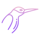 Humming Bird icon