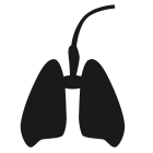 Lungs icon