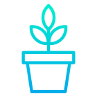 阳光下的植物 icon