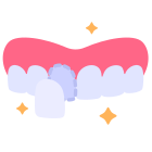 Dental Veneer icon