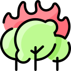 Forest Fire icon