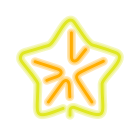 Christmas Star icon