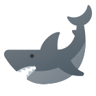 鲨鱼体 icon